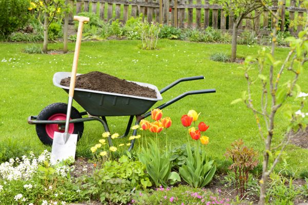 Spring Yard Renovation in Rochester