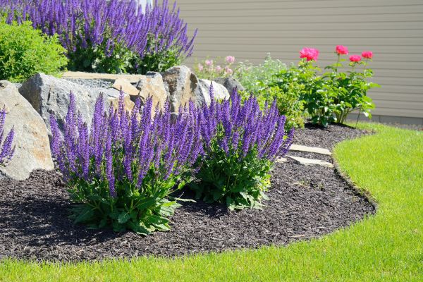 Landscape Planting Service in Rochester