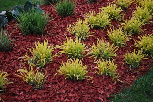 Red Mulch Installation in Rochester