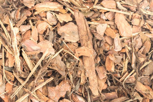 Bark Mulch Installation in Rochester