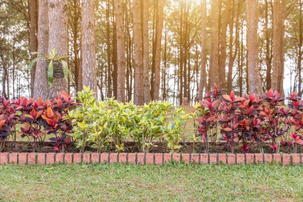 Small Garden Landscaping in Rochester