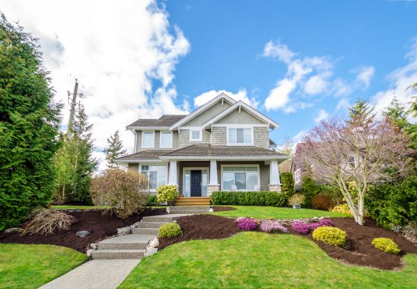Landscaping Replacement in Rochester