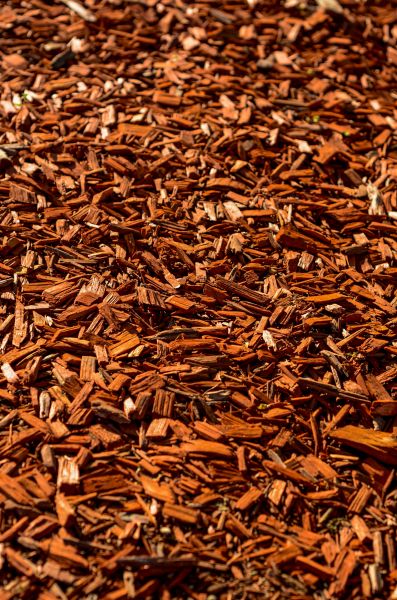 Cedar Mulch Spreading in Rochester