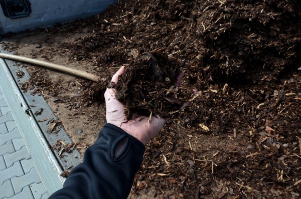 Condo Mulching in Rochester