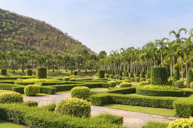 Palm Tree Landscaping
