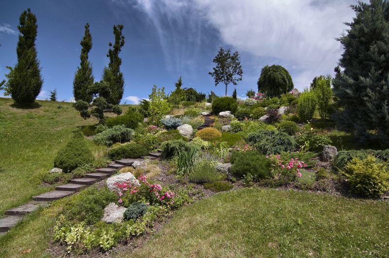 Rock Landscape Design