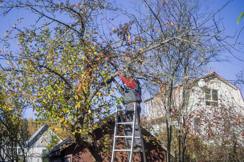 Tree Straightening Service